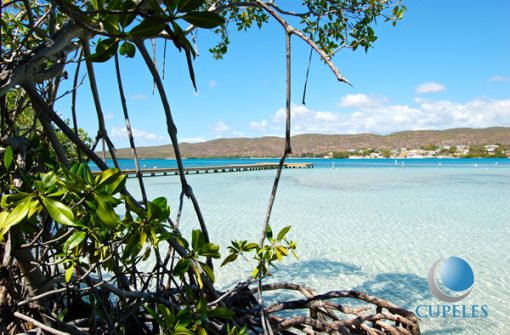 Gilligan S Island Puerto Rico Guanica S Secret Beach Gilligan S Island Pr